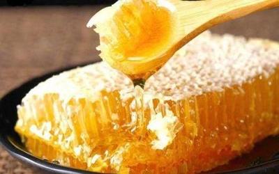 带蜂巢的蜂蜜是真的吗 带蜂巢的蜂蜜有假的吗