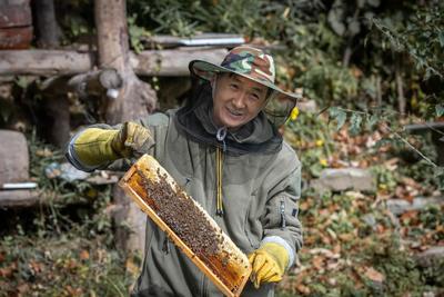 留坝县与中国农科院蜜蜂研究所签署战略合作协议